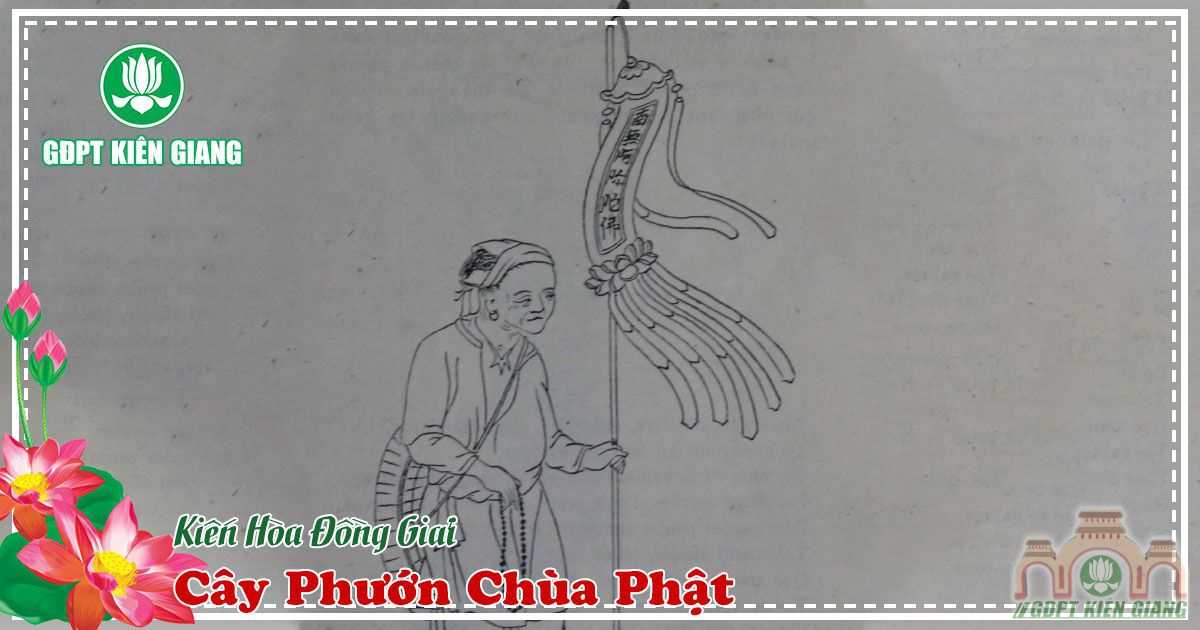 Cay Phuong Chua Phat 2