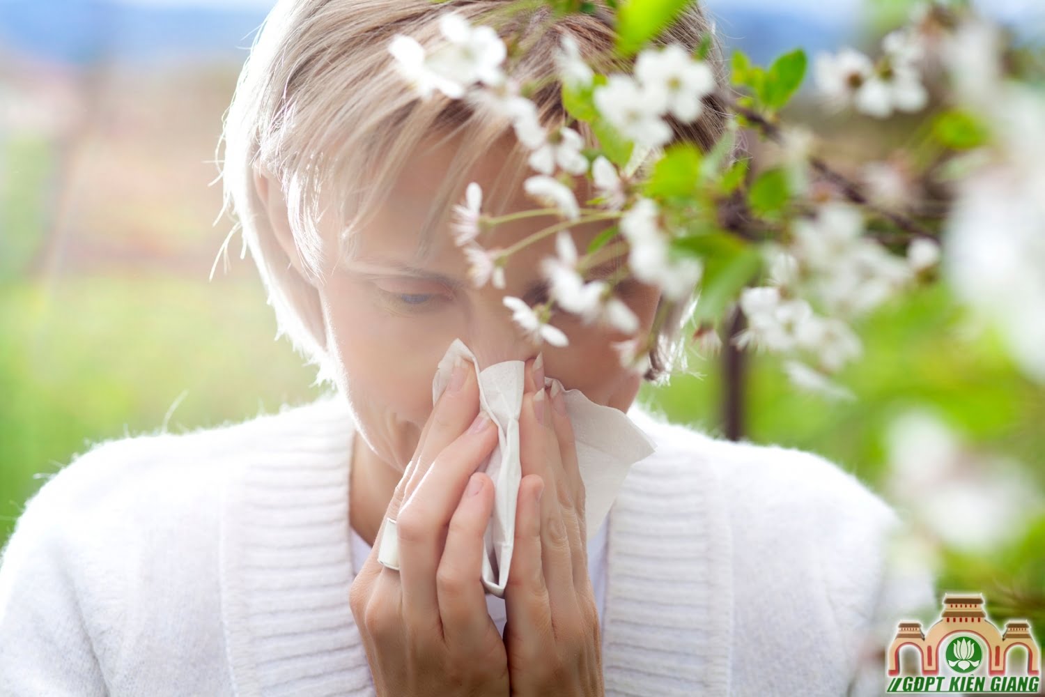 Allergy (Dị Ứng) – Hỏi Đáp Y Khoa