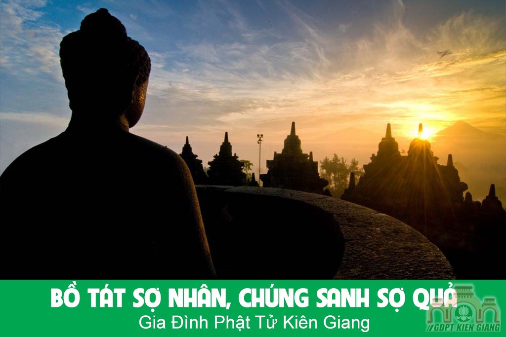 Bồ Tát Sợ Nhân, Chúng Sanh Sợ Quả